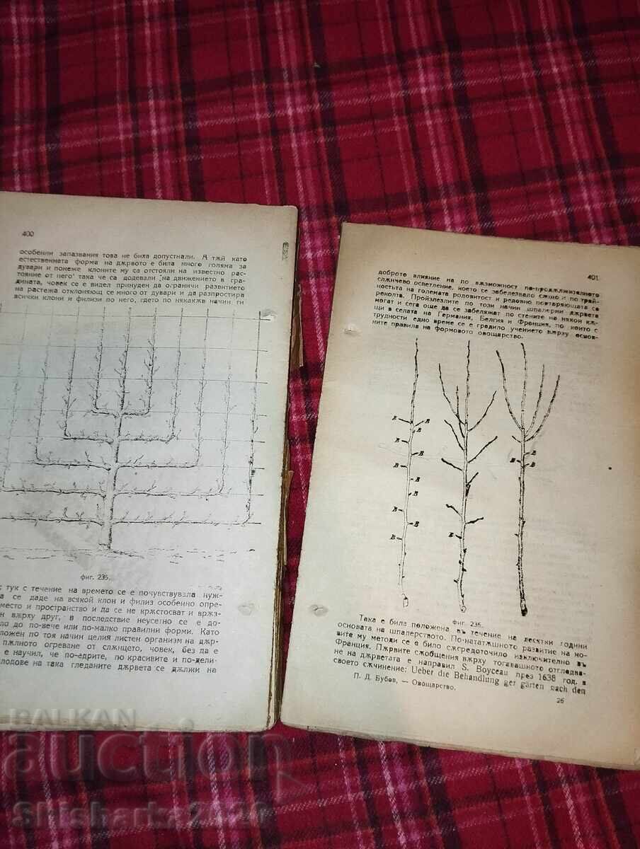 Аукцион Пълно ръководство по овощарство с 560 рисунки! чети описание