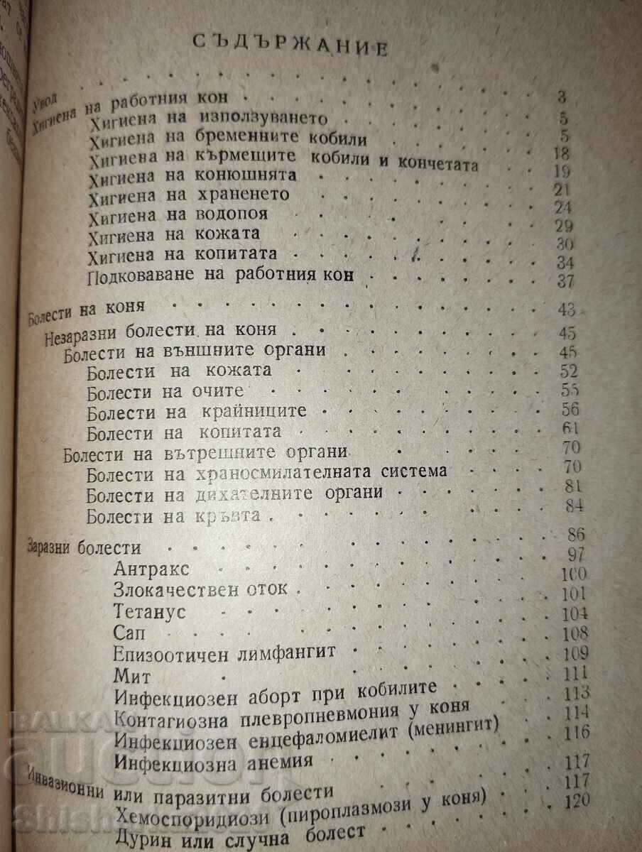 Δημοπρασία Υγιεινή και ασθένειες του εργαζόμενου αλόγου Δημοπρασία Υγιεινή και ασθένειες του εργαζόμενου αλόγου