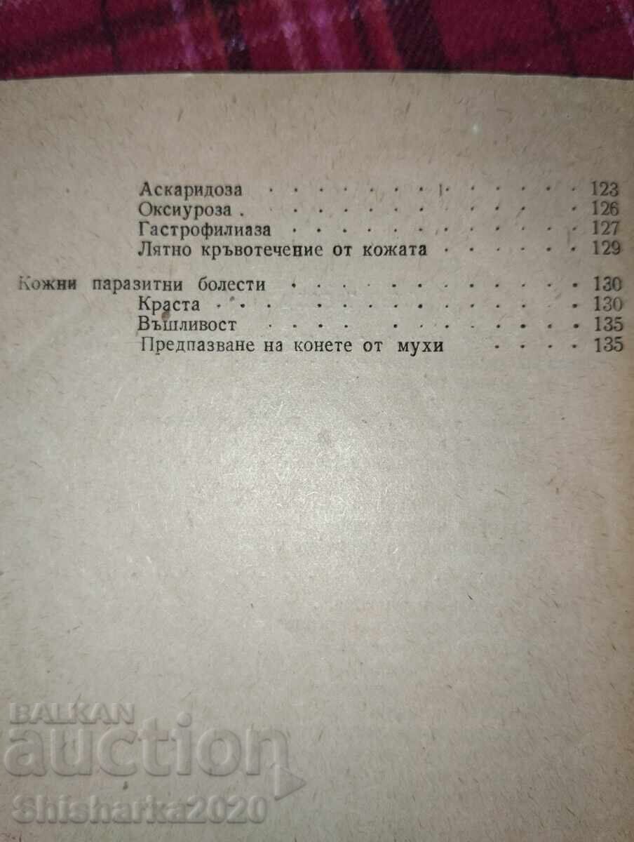 Παράδοση Υγιεινή και ασθένειες του εργαζόμενου αλόγου Παράδοση Υγιεινή και ασθένειες του εργαζόμενου αλόγου