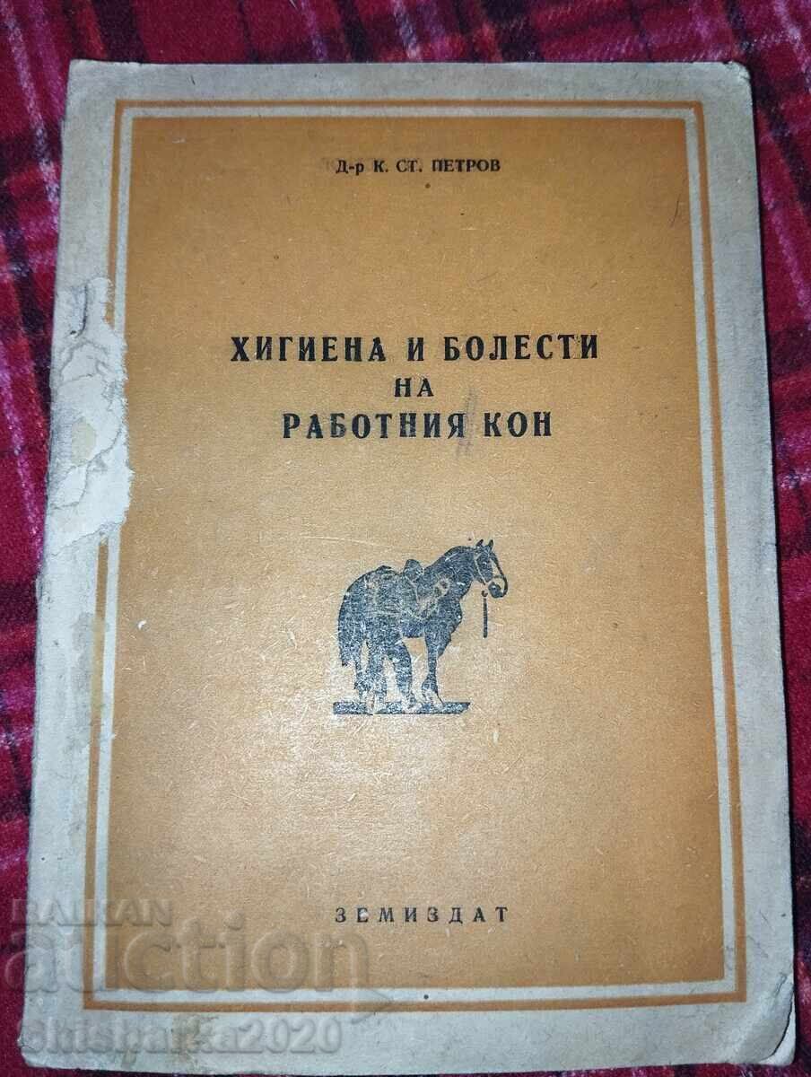 Υγιεινή και ασθένειες του εργαζόμενου αλόγου Υγιεινή και ασθένειες του εργαζόμενου αλόγου