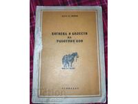 Hygiene and Diseases of the Working Horse