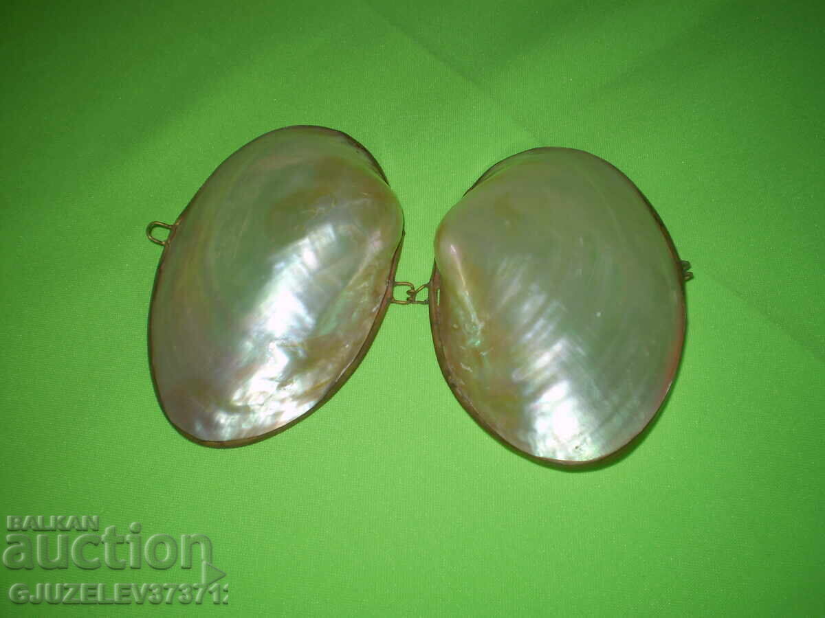Mother-of-pearl shell jewelry box with brass fittings - 5 Mother-of-pearl shell jewelry box with brass fittings - 5