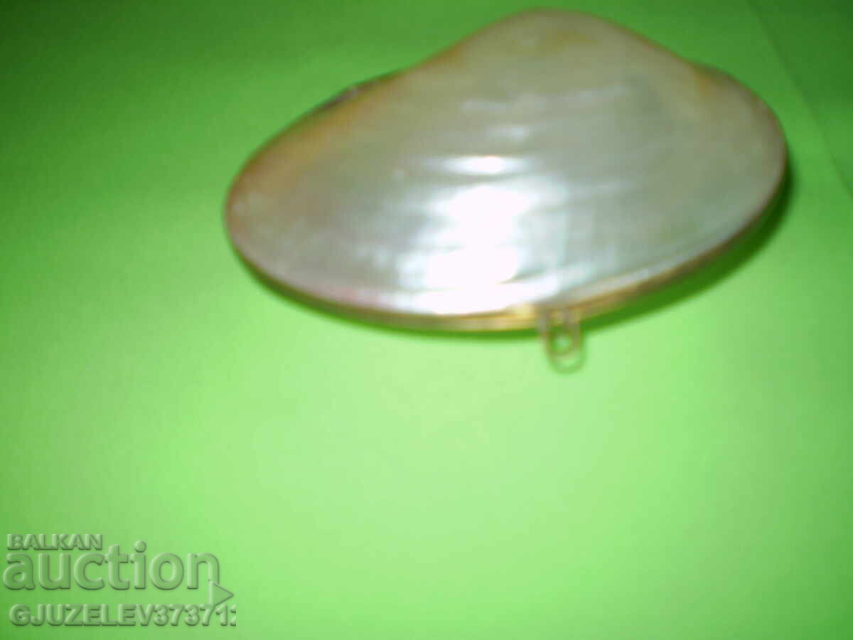 Πορτοφόλι/θήκη κοσμημάτων από όστρακο μαργαριταριού με ορειχάλκινα εξαρτήματα - 6