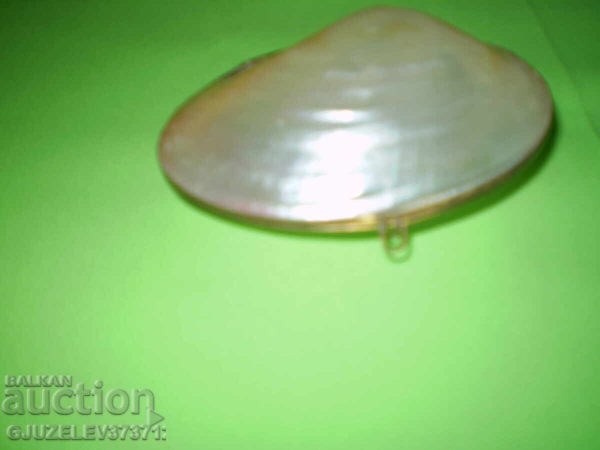 Mother-of-pearl shell jewelry box with brass fittings - 6 Mother-of-pearl shell jewelry box with brass fittings - 6