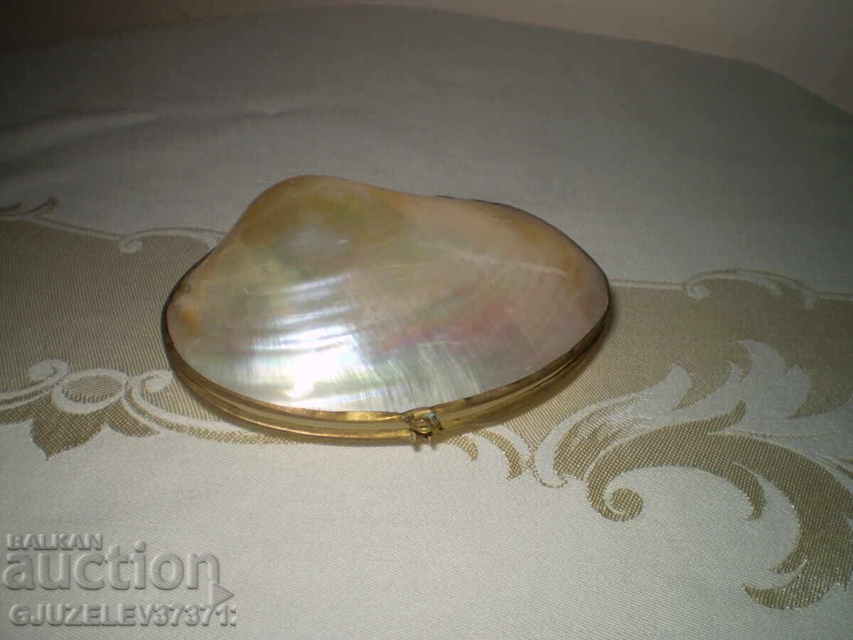 Mother-of-pearl shell jewelry box with brass fittings Mother-of-pearl shell jewelry box with brass fittings