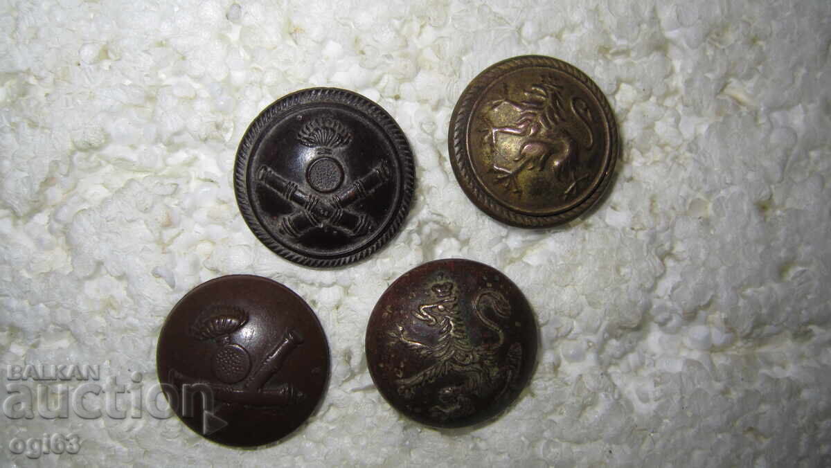 Πολλά βασιλικά κουμπιά 3