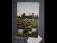 Old postcard - Landscape