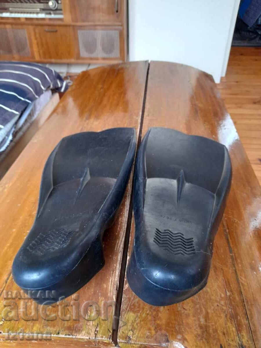 Livrarea Aripioare vechi Hemus