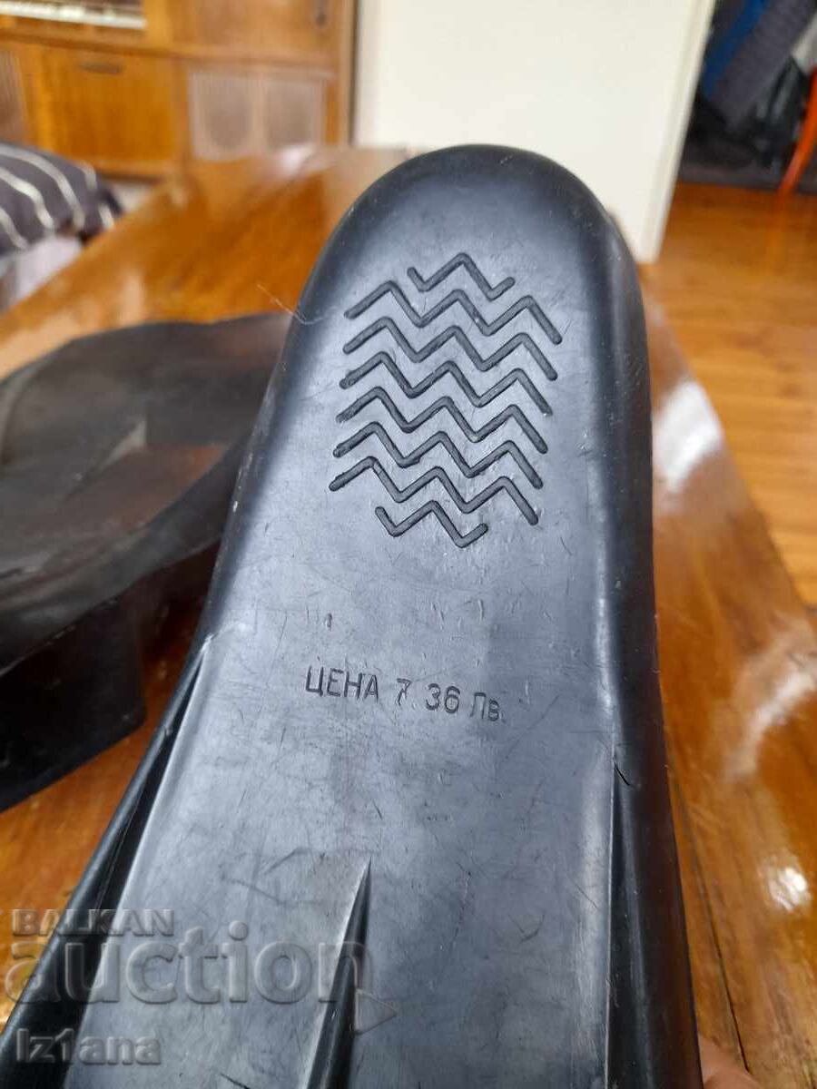 Aripioare vechi Hemus - 5