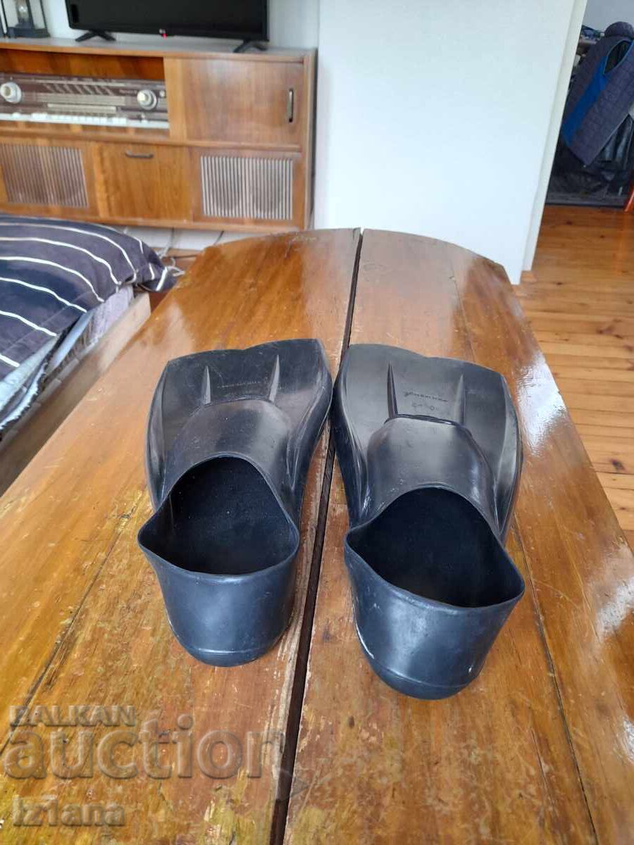 Aripioare vechi Hemus