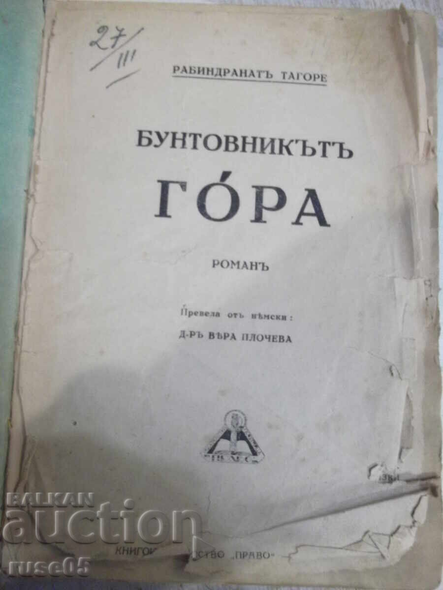 Book "The Rebel Gora - Rabindranath Tagore" - 280 pages