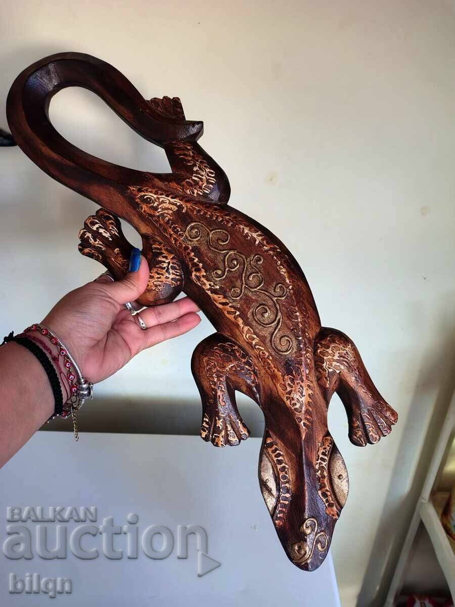 Șopârlă de lemn superbă - 6