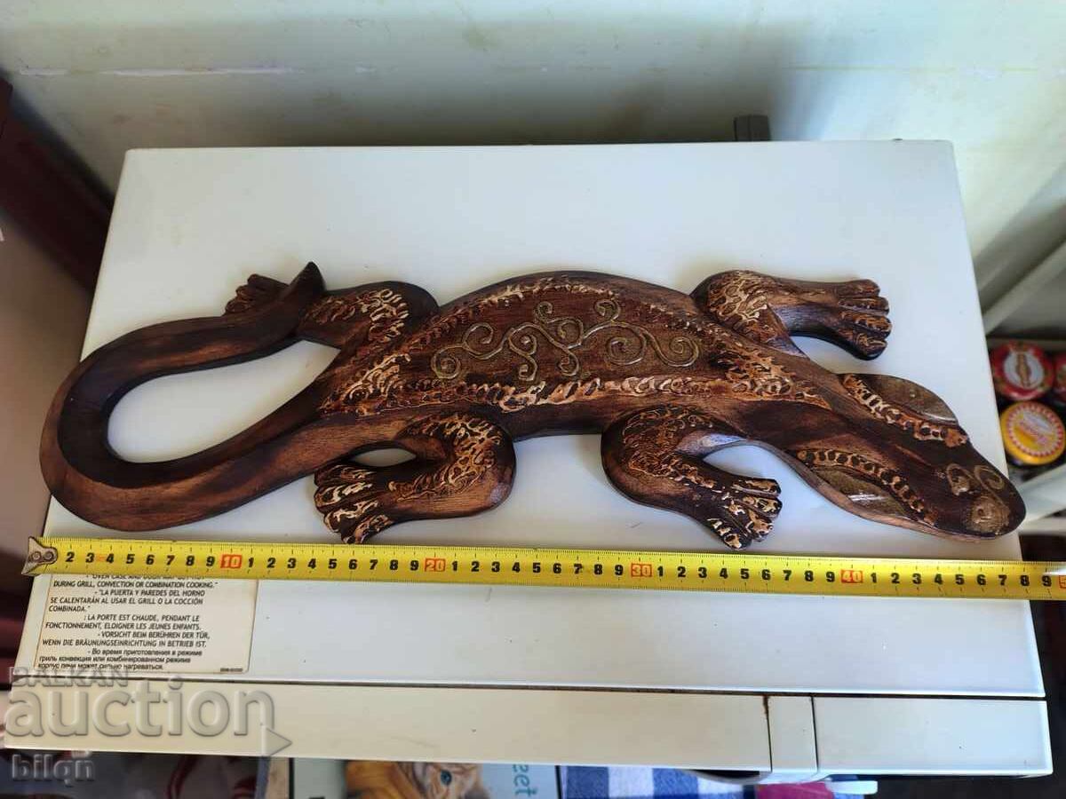 Șopârlă de lemn superbă - 7