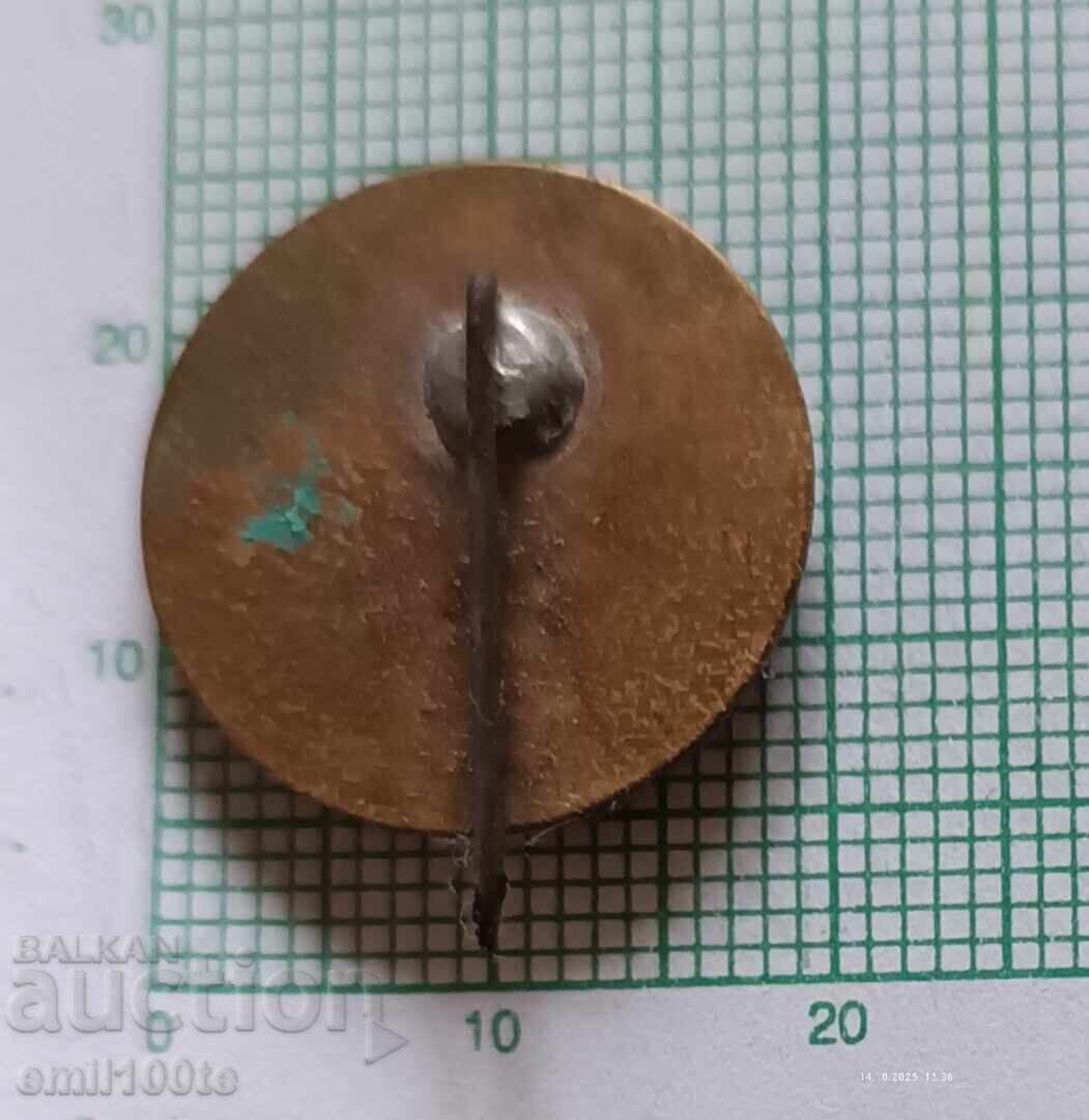 Delivery of Badge - 30 Years of Paramedic Education Stara Zagora Delivery of Badge - 30 Years of Paramedic Education Stara Zagora