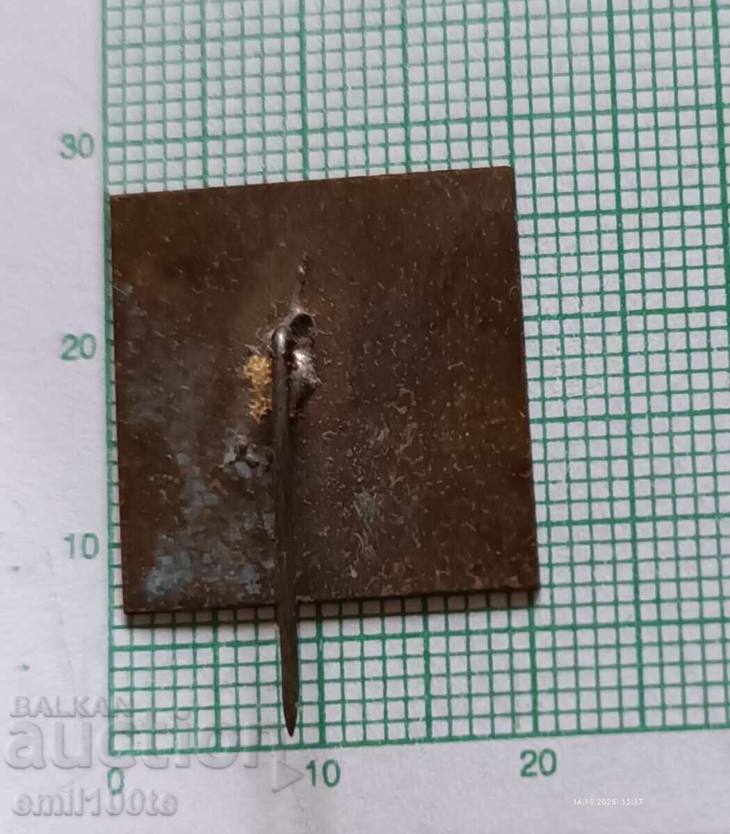 Παράδοση Σήμα - Δημοκρατική Αγροτική Σπαρτακιάδα Περιφέρειας Σλίβεν