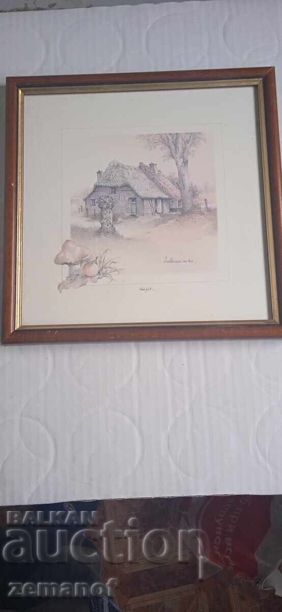 Εκτυπωμένα Καρτίνες 3τμχ