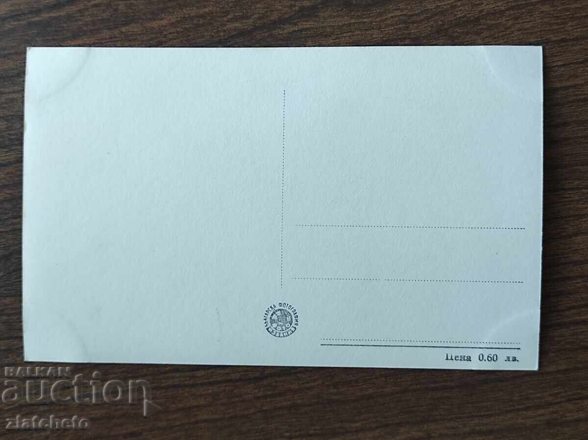 Българска пощенска карта - Н. Веселовская с цена 5.00 лв. | € 2.56