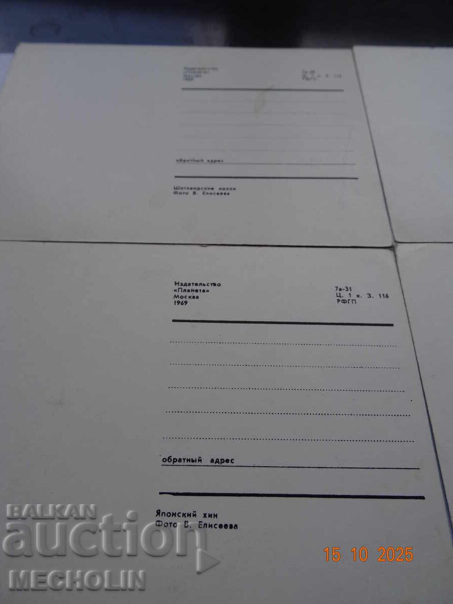 Collector's Russian Cards from 1969 Dogs 2 - 5