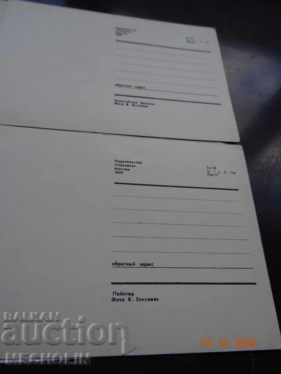 Collector's Russian Cards from 1969 Dogs 2 - 6