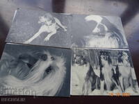 Συλλεκτικές ρωσικές καρτ ποστάλ από το 1969 ΣΚΥΛΙΑ 2