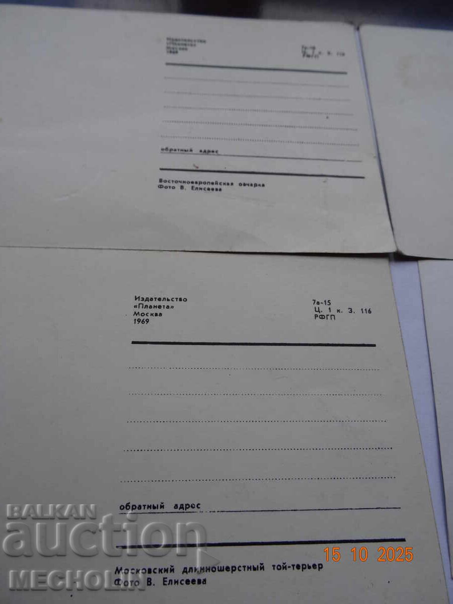 Delivery of COLLECTOR'S RUSSIAN CARDS FROM 1969 DOGS 3 Delivery of COLLECTOR'S RUSSIAN CARDS FROM 1969 DOGS 3