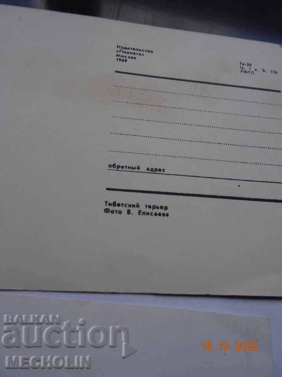 COLLECTOR'S RUSSIAN CARDS FROM 1969 DOGS 3 - 5 COLLECTOR'S RUSSIAN CARDS FROM 1969 DOGS 3 - 5