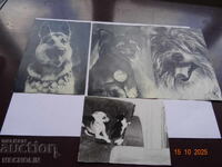 ΣΥΛΛΕΚΤΙΚΕΣ ΡΩΣΙΚΕΣ ΚΑΡΤΕΣ ΑΠΟ ΤΟ 1969 ΣΚΥΛΙΑ 3