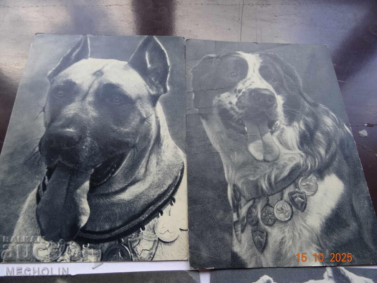 ΣΥΛΛΕΚΤΙΚΕΣ ΡΩΣΙΚΕΣ ΚΑΡΤ ΠΟΣΤΑΛ ΑΠΟ ΤΟ 1969 ΣΚΥΛΙΑ 4 με τιμή 15.00 BGN | € 7.67