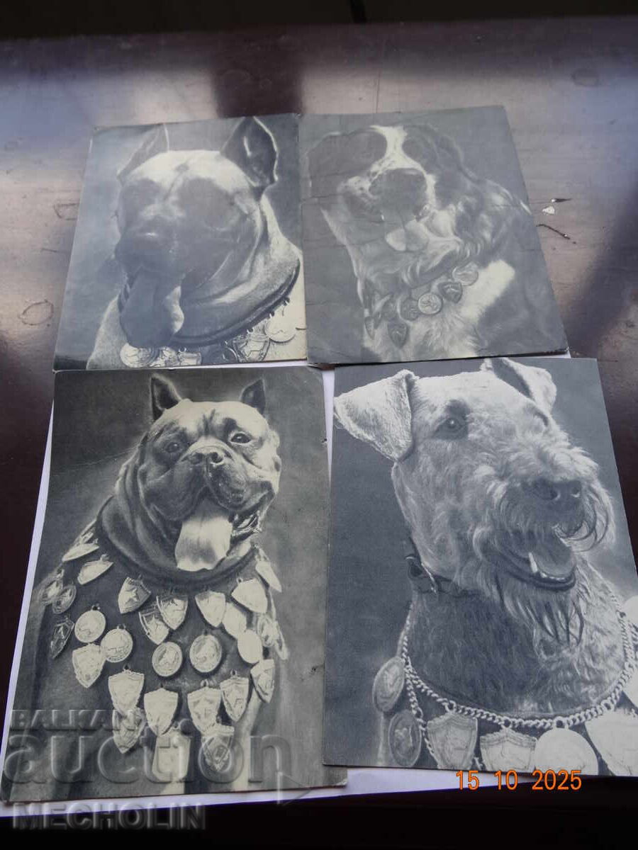 ΣΥΛΛΕΚΤΙΚΕΣ ΡΩΣΙΚΕΣ ΚΑΡΤ ΠΟΣΤΑΛ ΑΠΟ ΤΟ 1969 ΣΚΥΛΙΑ 4