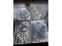 CĂRȚI POȘTALE RUSEȘTI DE COLECȚIE DIN 1969, CÂINI 4