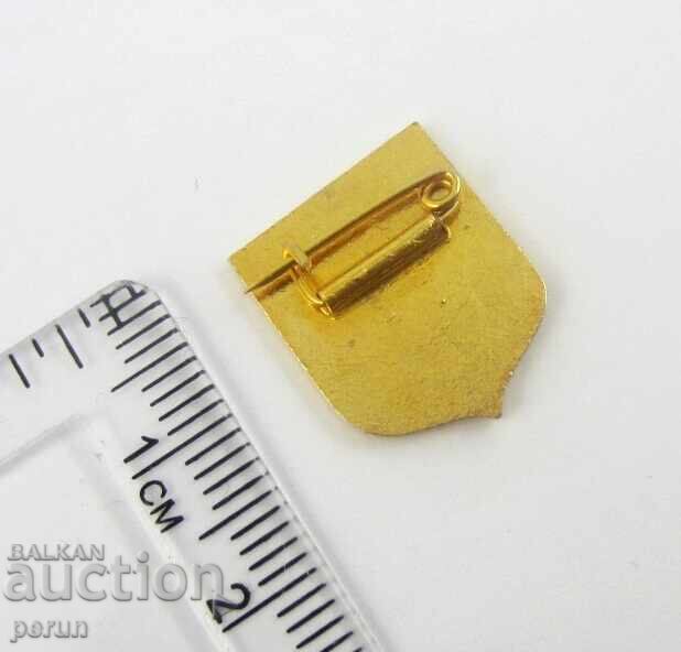 Licitație CRUCEA ROȘIE GERMANĂ - RDG - INSIGNĂ VECHE - EMAIL