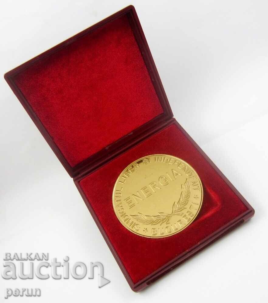 Ρουμανική επιχρυσωμένη πλακέτα σε κουτί - 6