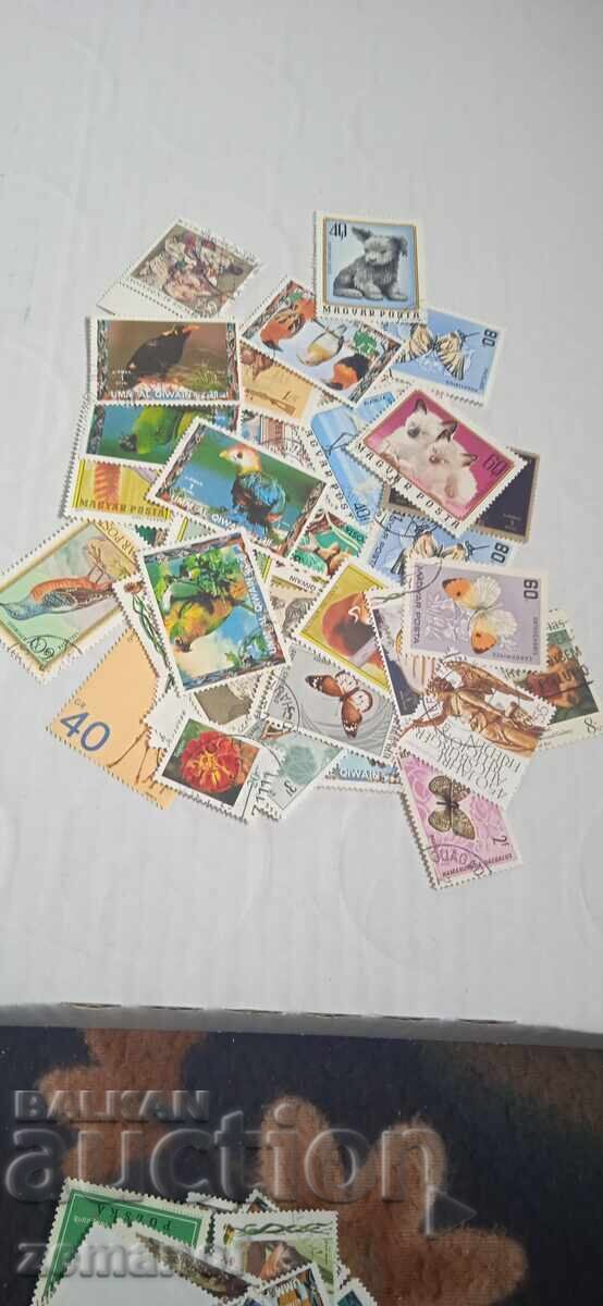 Μάρκες όλου του κόσμου με τιμή 8.00 BGN | € 4.09 Μάρκες όλου του κόσμου με τιμή 8.00 BGN | € 4.09