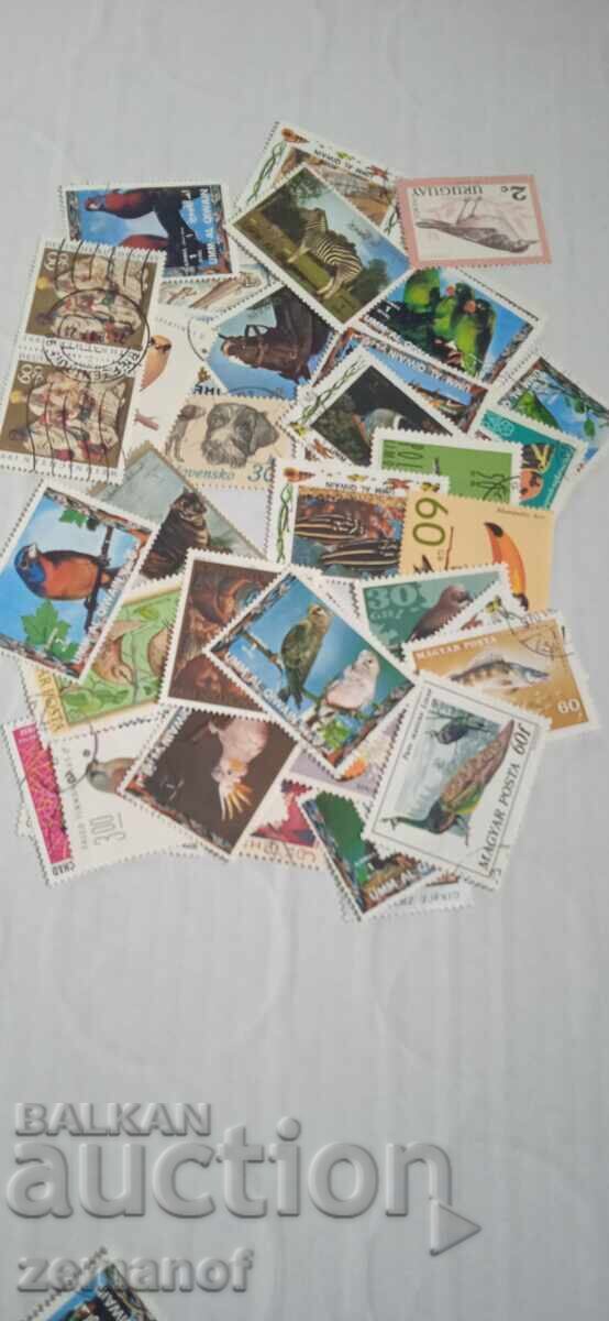 Μάρκες όλου του κόσμου Μάρκες όλου του κόσμου