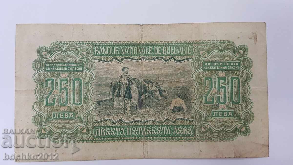 Bulgarian Royal Banknote 250 Leva 1943 - 5 Bulgarian Royal Banknote 250 Leva 1943 - 5
