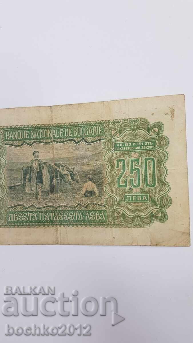 Bulgarian Royal Banknote 250 Leva 1943 - 6 Bulgarian Royal Banknote 250 Leva 1943 - 6