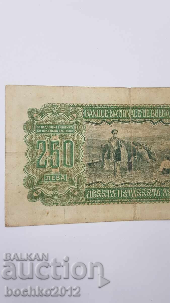 Bulgarian Royal Banknote 250 Leva 1943 - 7 Bulgarian Royal Banknote 250 Leva 1943 - 7