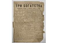 BR 1VI TREI BOGĂȚII REVISTĂ PENTRU VINIFICAȚIE COMERȚ ȘI ARTĂ