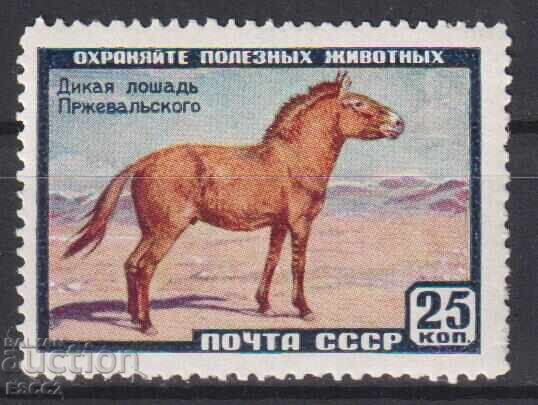 Marcă poștală Fauna Calul lui Przewalski 1959 din URSS Marcă poștală Fauna Calul lui Przewalski 1959 din URSS