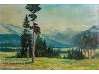 Peisaj natură tablou vechi ulei