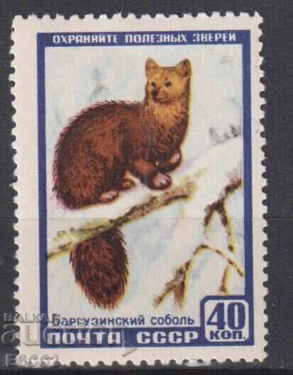 Marca Fauna Zibelină 1957 din URSS Marca Fauna Zibelină 1957 din URSS