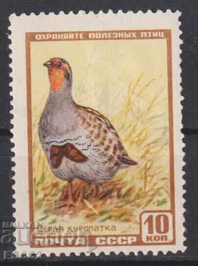 Marca curată Fauna Pasăre Potârniche Sură 1957 din URSS Marca curată Fauna Pasăre Potârniche Sură 1957 din URSS