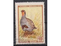 Marca curată Fauna Pasăre Potârniche Sură 1957 din URSS