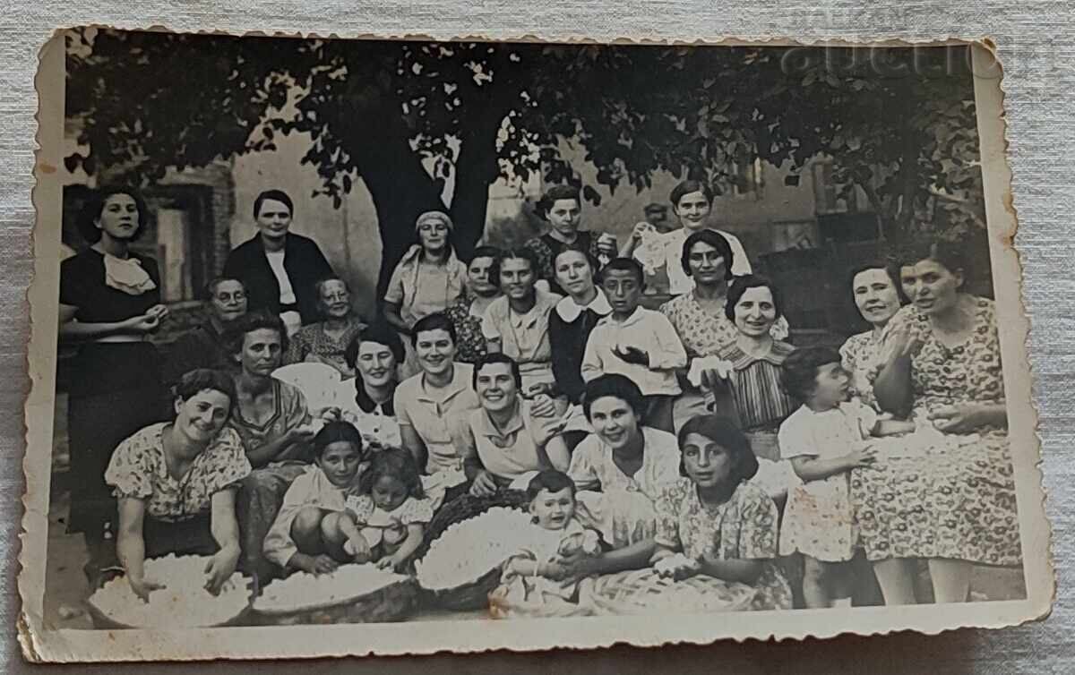 BUBARSTVO PASHKULI SVILENGRAD 192.. g. FOTO