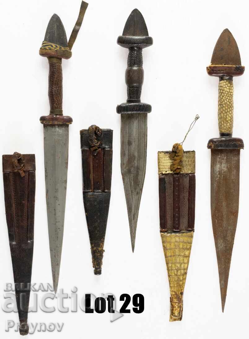 Colecție de 3 buc. Cămile Tuareg