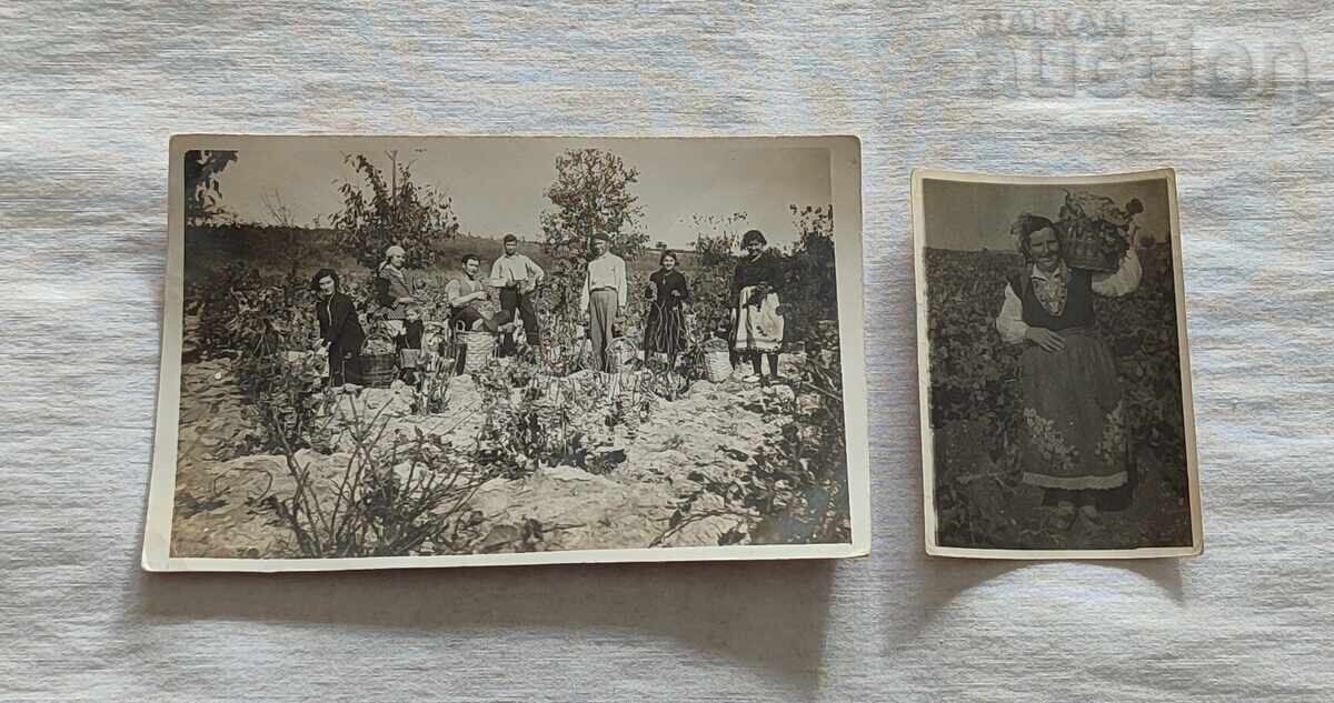 ΓΡΟΖΔΟΜΠΕΡ 193..γ. ΣΝΙΜΚΑ ΛΟΤ 3 ΒΡΟΙΑ