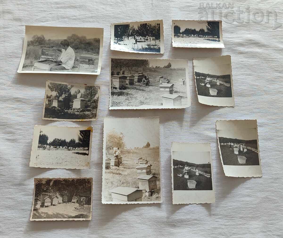 BEEKEEPING PHOTOS LOT 23 PIECES with price 10.00 BGN | € 5.11 BEEKEEPING PHOTOS LOT 23 PIECES with price 10.00 BGN | € 5.11
