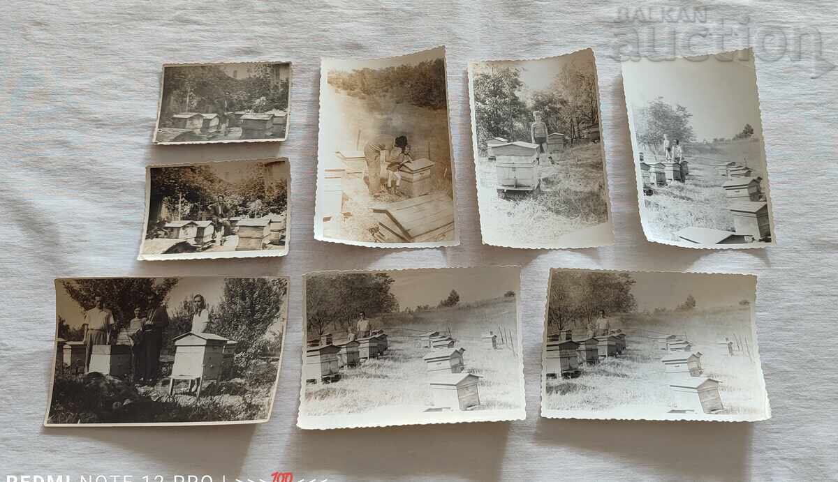 Auction BEEKEEPING PHOTOS LOT 23 PIECES Auction BEEKEEPING PHOTOS LOT 23 PIECES