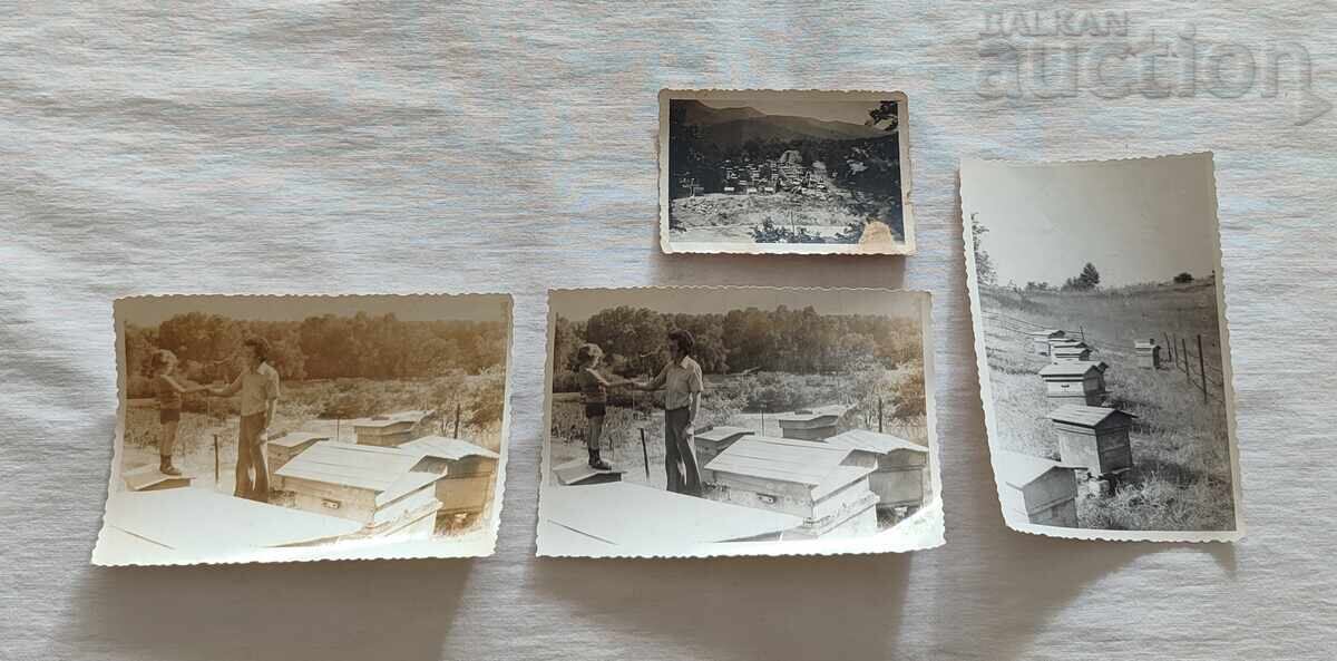 Delivery of BEEKEEPING PHOTOS LOT 23 PIECES Delivery of BEEKEEPING PHOTOS LOT 23 PIECES
