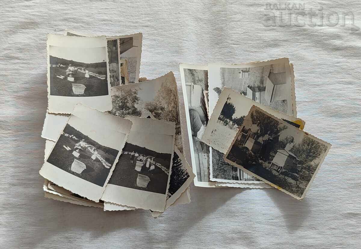 BEEKEEPING PHOTOS LOT 23 PIECES BEEKEEPING PHOTOS LOT 23 PIECES